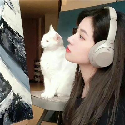哈比王传奇